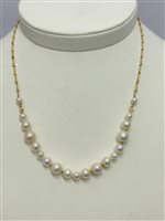 Collana Genesia Donna Kikilia in Argento KGC588G - KGC588G